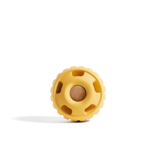 The Pupsicle