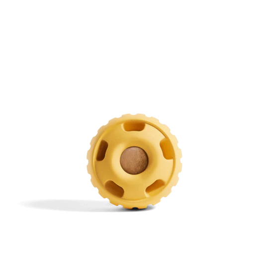 The Pupsicle