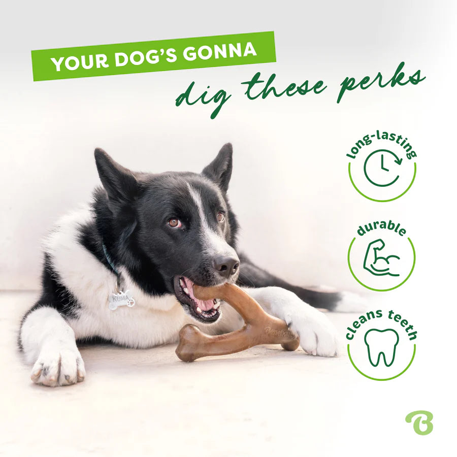 7-pack of durable dog chew toys